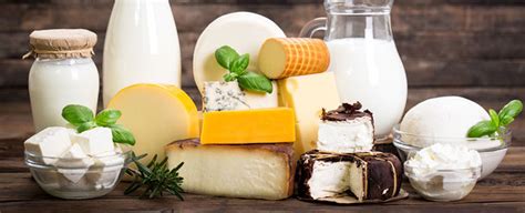 DAIRY INGREDIENTS - Первый магазин заквасок в Узбекистане