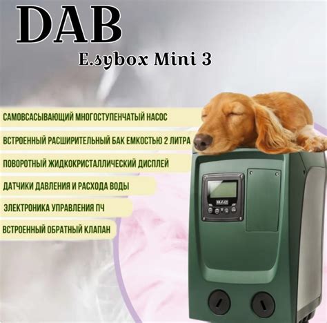 Насосная станция DAB E.Sybox mini - купить по выгодной цене в интернет ...