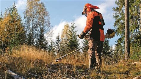 Incêndios GNR começa a fiscalizar incumprimentos na limpeza da