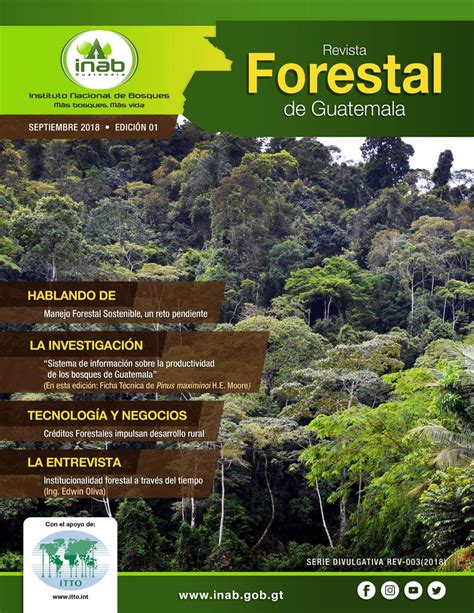 Revista Forestal De Guatemala Edici N By Inabguatemala Issuu