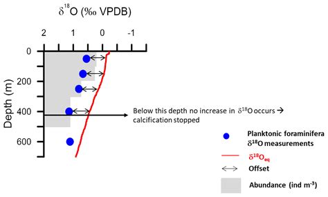 jm calcification depth  deep dwelling planktonic foraminifera