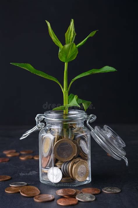 Planta Que Crece En Monedas En El Tarro De Cristal Foto De Archivo