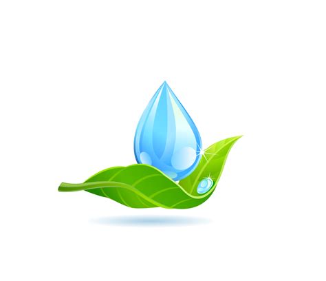 Water Leaf Png Images Transparent Free Download