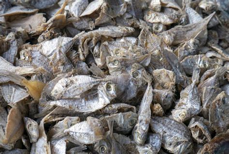 ikan asin salted fish  traditional market  yogyakarta indonesia