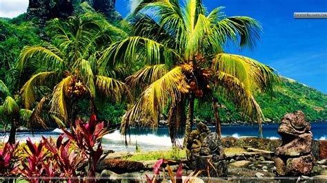 Beachfront Wallpapers - Top Free Beachfront Backgrounds - WallpaperAccess