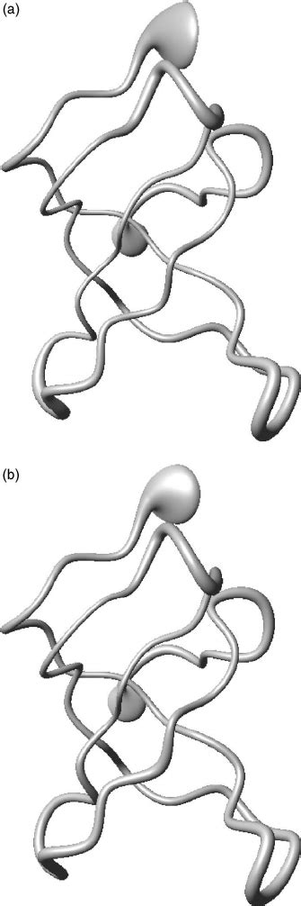 bundles      conformations  structures