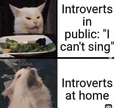 40 Relatable Introvert Memes You Anti-Socials Can Laugh At After You ...