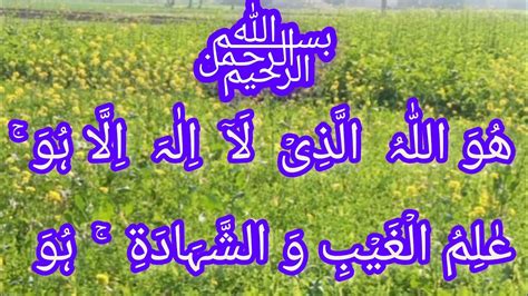 Surah Al Hashr Last 3 Ayat Beautiful Tilawat Surah Hashr Last Ayat Ayat Tilawat Ayat Quran