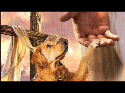 🌈😺🦋🕊Что любимый питомец хочет сказать Вам с Радуги ️ ️ - YouTube