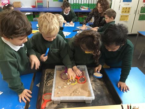 Dovers Green School Owls