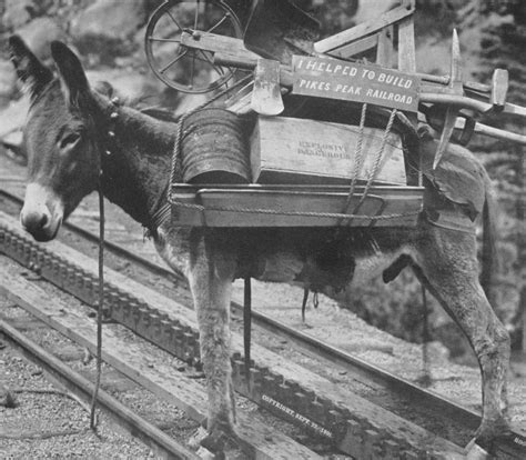 Cog History - The Broadmoor Manitou & Pikes Peak Cog Railway