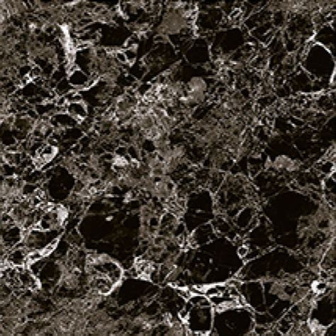 10050-F - Elegant Design | Wall Tiles | KAG TILES