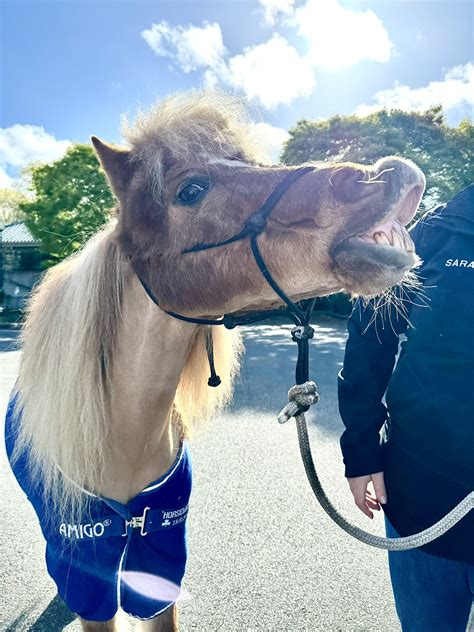 Bothell Municipal Court | Bothell WA