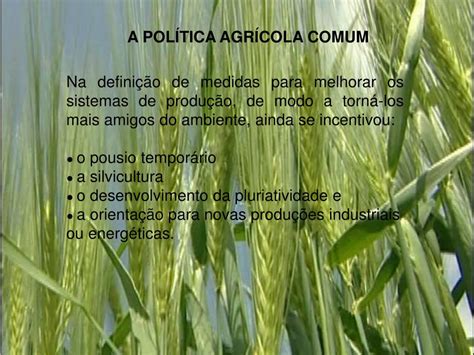 PPT A POLÍTICA AGRÍCOLA COMUM PowerPoint Presentation free download