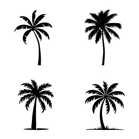 Premium Vector Palm Tree Silhouette Vector Design