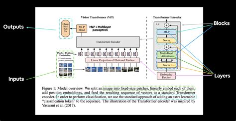 08. PyTorch Paper Replicating - Zero to Mastery Learn PyTorch for Deep ...