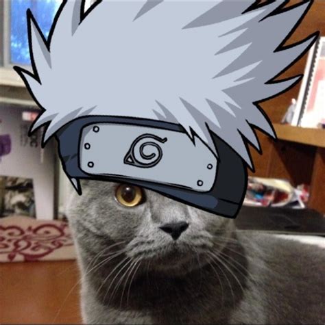 Create Meme Cat Naruto Toby The Cat Naruto Naruto Cats Pictures