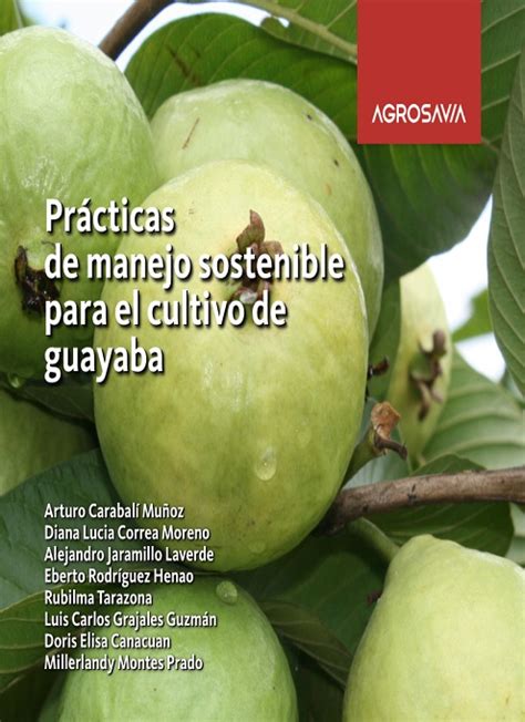 Pr Cticas De Manejo Sostenible Para El Cultivo De Guayaba Pastos Y