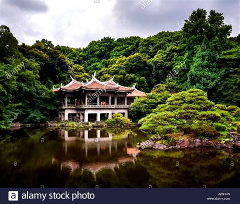 shinjuku gyoen wallpapers wallpapersafari