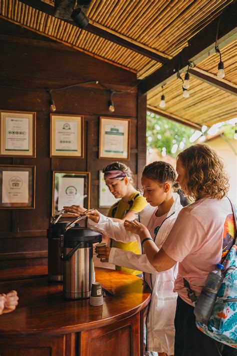 Customized Private Coffee Tours | Britt Coffee Tour