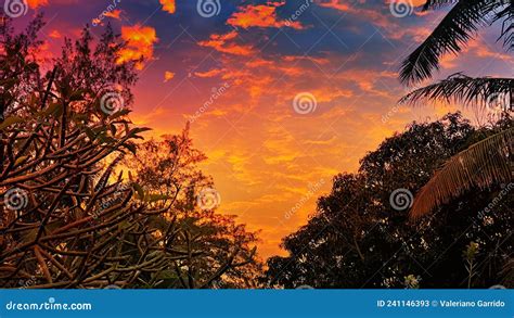 Sunrise Abstract Background In The Morning Stock Image Image Of Shore