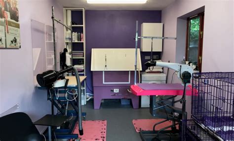 ocn aim level  diploma  dog grooming  uk grooming courses