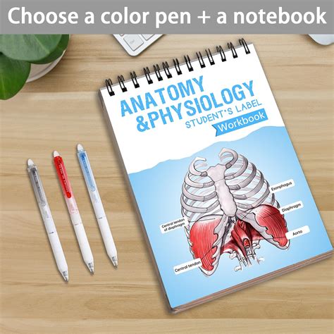 Workbook For Physiology Aesthetic