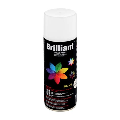 Brilliant Gloss White Spray Paint 300ml Spray Paint Paint