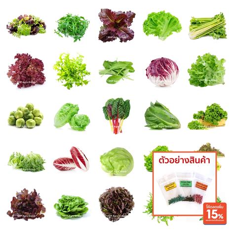 Đặt mua Salad rau, hạt rau, salad phong bì có hướng dẫn sử dụng để trộn ...