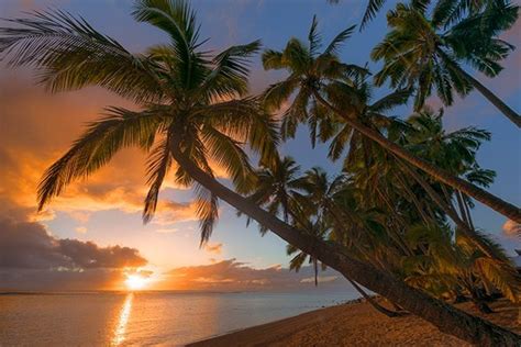 12 Of Rarotonga's Best Beaches And Swimming Spots: An Islander Reveals It All • Island Awe