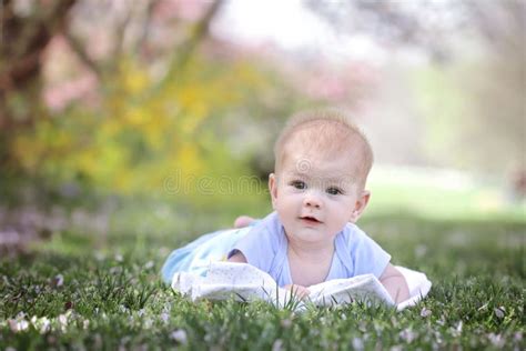 happy smiling baby  grass stock image image  time handsome
