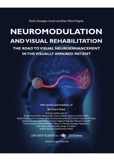 Pdf Neuromodulation And Visual Rehabilitation The Road To Visual