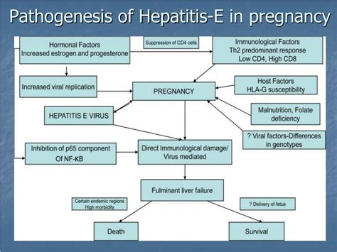 Ppt Management Of Liver Diseases In Pregnancy Powerpoint Presentation