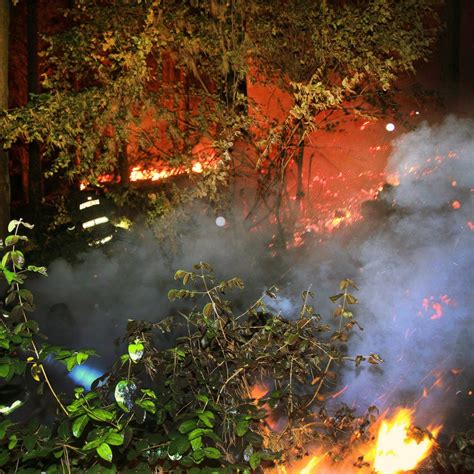 Onemi Decretó Alerta Roja En Mostazal Y Marchigüe Por Incendios