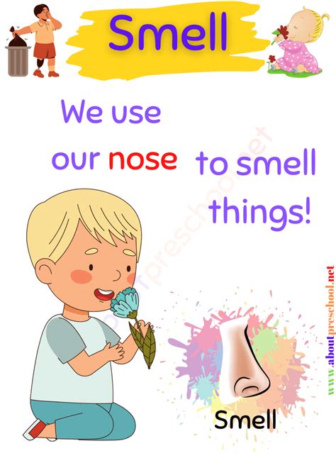 The 5 Senses-Smell - About Preschool