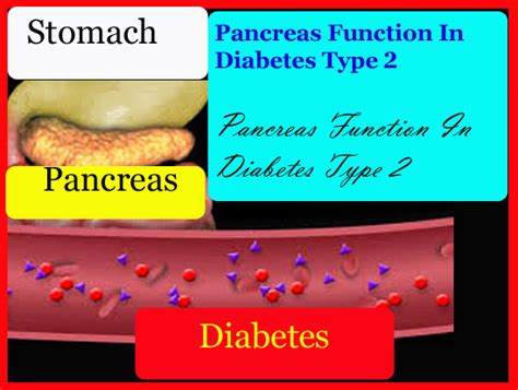 Pancreas Function In Diabetes Type 2%%