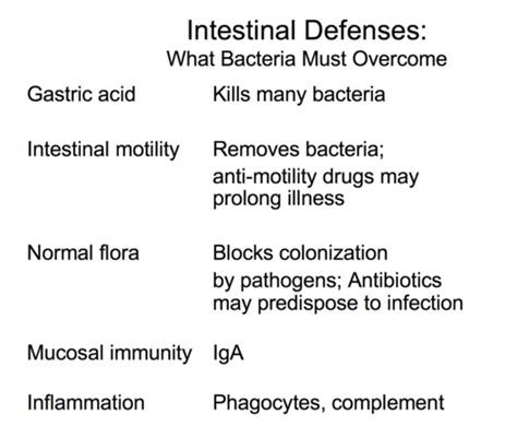 Gram Negative Rods Flashcards Quizlet