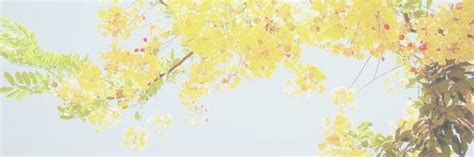 yellow banner ★ | Yellow aesthetic pastel, Yellow aesthetic, Twitter ...