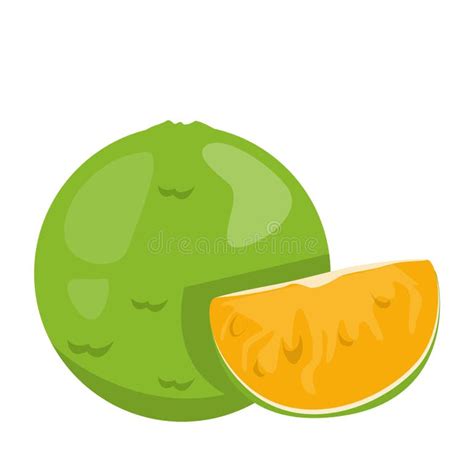 Calamansi Fruit Stock Illustrations 91 Calamansi Fruit Stock