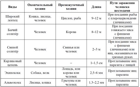 ВПР / Биология / 8 класс / 08 задание / 71
