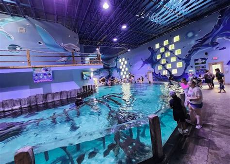 5 See-Worthy Aquariums In Houston To Visit Any Time Of The Year