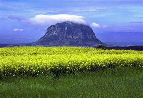Mount Hallasan Summit Challenge In South Korea Travel Medals