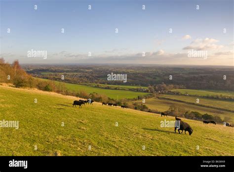 Box Hill, Dorking, Surrey England Stock Photo - Alamy