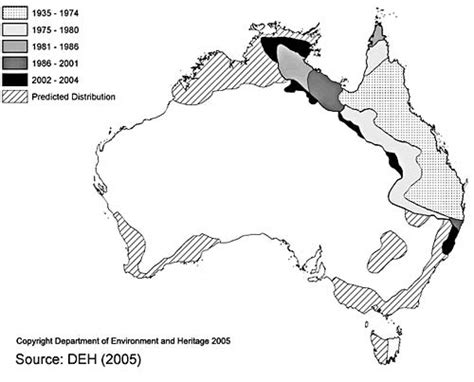 The Invasion of Cane Toads in Australia