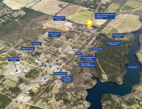 pine st hwy  pelion sc  loopnet