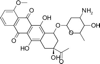 Structure of daunorubicin. | Download Scientific Diagram