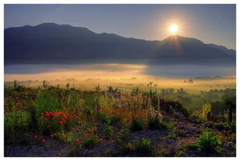 A morning fog | Landscape photos