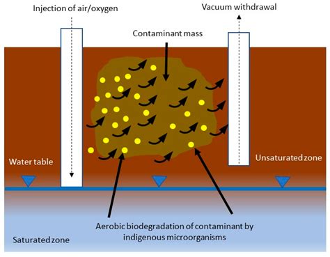 Soil Bioremediation Encyclopedia