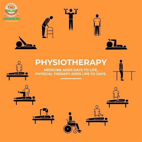 physiotherapy choose physiotherapy   career tmu moradabad