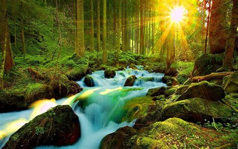 3d nature wallpaper - free hd photos wallpapers for deskto… | Flickr